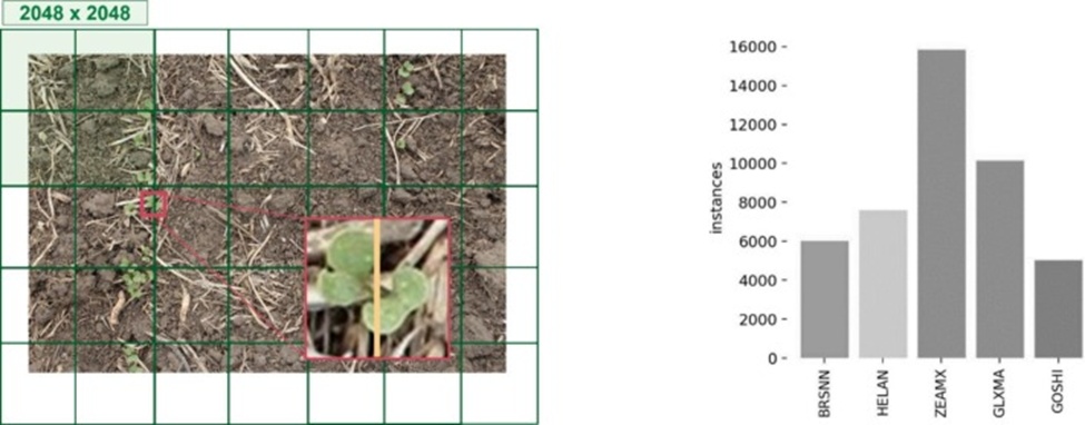 Figure 9. Left) The image is tiled into 2048 × 2048 patches, as shown. An overlapping stride window of 1024 × 1024 is applied after padding the image to get a fixed tile size for every stride. Right, the total number of instances of objects used as input to the training step is shown by class.