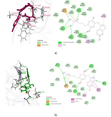 Figure 5. 3D and 2D interaction diagrams of Barettin with a) TMPRSS2 and b) CTSL.