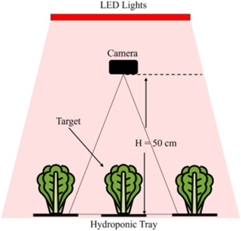 Figure 2. Outline of the overhead camera configuration for lettuce image acquisition.