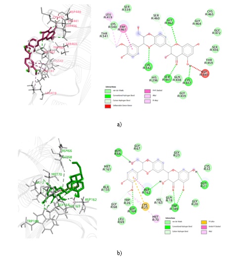 Figure 4. 3D and 2D interaction diagrams of silibinin with a) TMPRSS2 and b) CTSL.