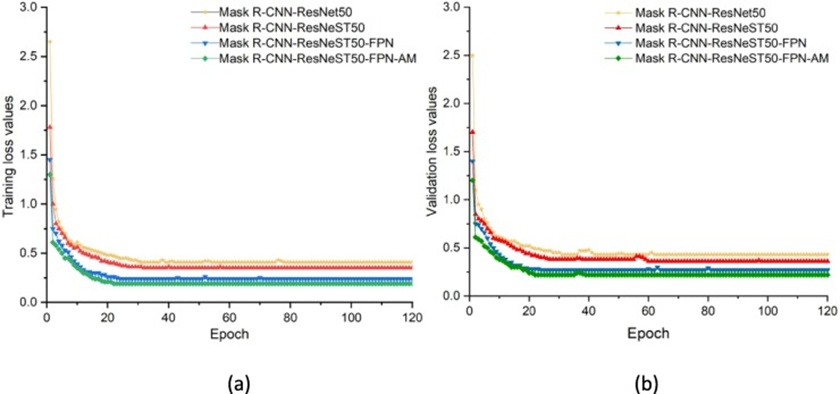 Figure 8. The loss values during (a) training and (b) validation of the different networks.