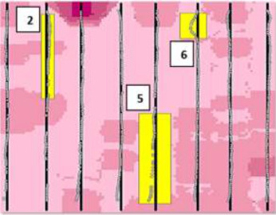 Figure 10. Identified errors of straight-line accuracy of autopilot tractor passes on AB line in replication 1.