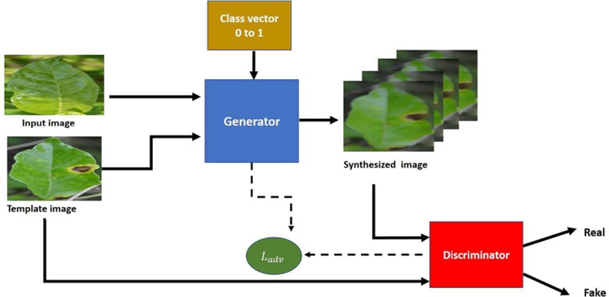 Figure 3. Data augmentation using the ConditionalGAN approach.