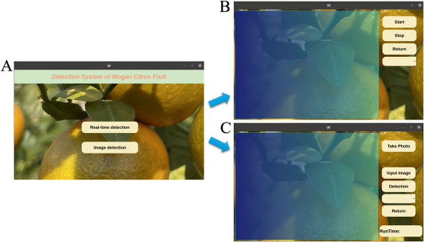 Figure 11. Interface layout of the Orah fruit detection system: A) Main interface, B) Real-time detection mode interface, and C) Single-image detection mode interface.