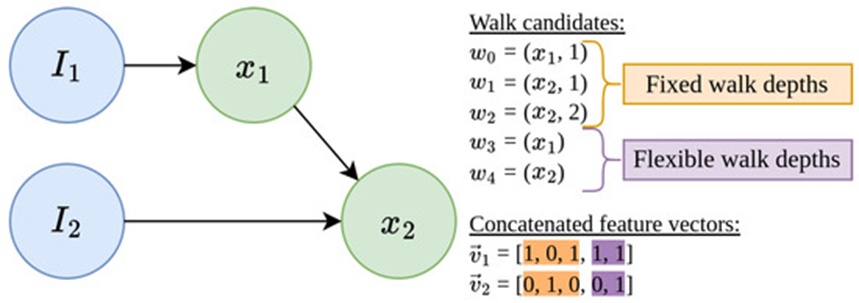 Figure 5. Example of MINDWALC’s feature extraction based on walks. Example of how we can construct binary feature vectors, 𝑣→𝑖, for each i’th instance node, Ii, using different walking strategies. 𝑣→𝑖 describes which of m available walk candidates, wj, can or cannot be executed by Ii. In this case, we can find m=5 different walk candidates, 𝑤0−4, in the given graph. The first three walk candidates, 𝑤0−2=(𝑥,𝑙)&nbsp; are walks with fixed walking depths, where fixed walking depths, l, are defined. The last two walk candidates, 𝑤3−4=(𝑥), are walks with flexible walking depth, where only a required target node, x, is defined. Therefore, there are three options to construct the feature vectors: We can either use walks of fixed (orange) or flexible (purple) walking depth, or, as done in this case, we can combine both walking strategies together into one large feature vector. In this case, 𝑣→1&nbsp;and&nbsp;𝑣→2 have only one feature, w4, in common, which is a walk of flexible depth.