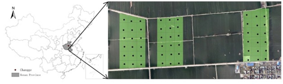 Figure 2. Experiment design and sampling point distribution.