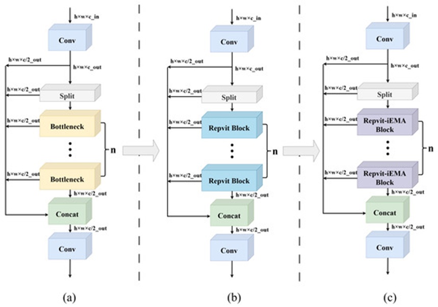 Figure 5. Structure of the C3k2-RVB-iEMA module: (a) C3k2 module, (b) C3k2-RVB module, and (c) C3k2-RVB-iEMA module.