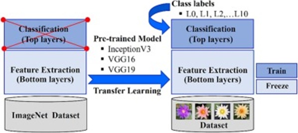 Figure 2. Pre-trained models.