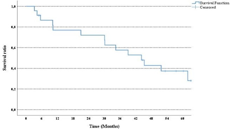 Figure 3. Kaplan-Meier curve for OS in the ALK mutant mNSCLC patients who were treated with crizotinib.