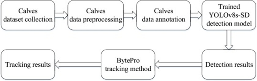Figure 4. The flowchart of the proposed YSD-BPTrack framework.