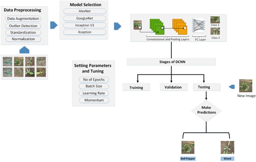 Figure 2. Deep learning-based image classification pipeline used for weed identification.