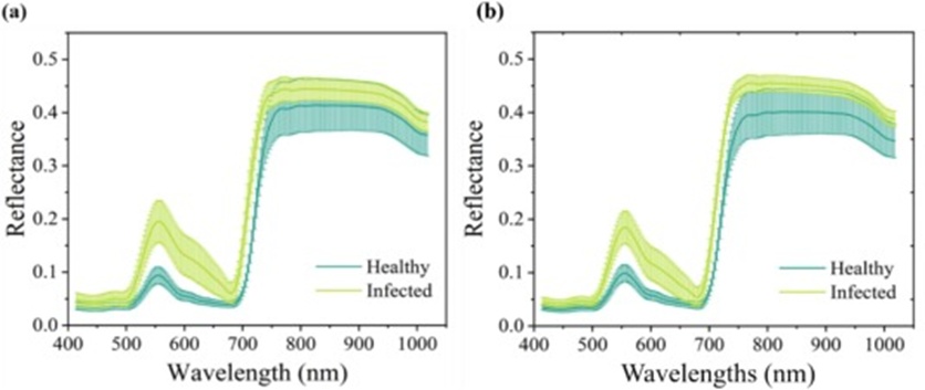 Figure 7. Average spectra and standard deviations of the healthy and infected leaves of two cultivars (a) XLZ45, (b) XLZ53.