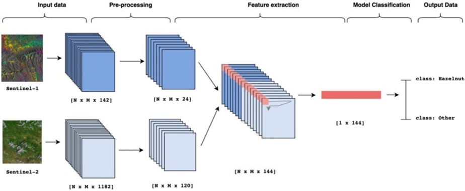 Figure 1. Hazelnut crop detection system. Accepting as input a point collection of NxM dimensions corresponding to an analysis zone, the incoming data stream is formed by the multi-temporal image stacks of Sentinel-1 and Sentinel-2 (counting 142 and 1182 layers, respectively). These are treated to yield two condensed image stacks (of 24 and 120 layers, respectively) due to reduced cloud contamination. The feature extraction phase encompasses data stacking followed by the isolation of a single-point channel. The model ingests the resulting vector and delivers the class assignment hazelnut/Other.