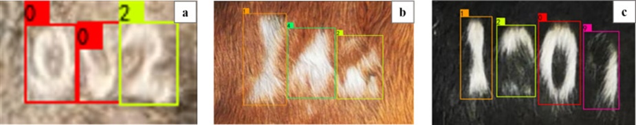 Figure 9. Detection effects under different hair colours: (a) white hair, (b) brown hair, and (c) black hair (For interpretation of the references to colour in this figure legend, the reader is referred to the web version of this article).