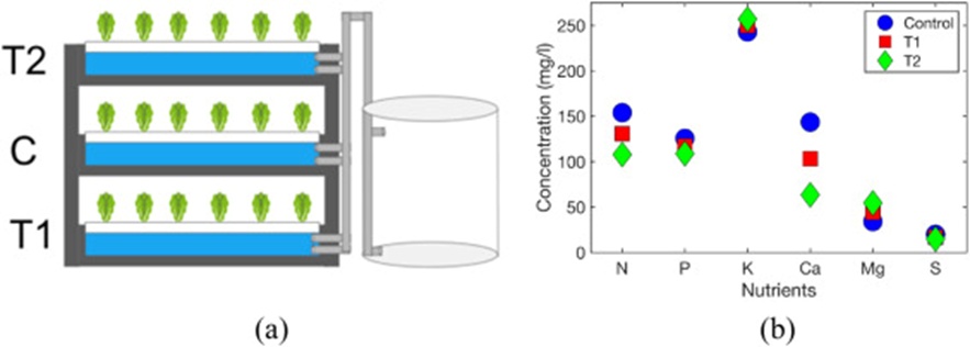 Figure 1. (a) Schematic of deep-water culture apparatus with treatments assigned per level, (b) macronutrient profiles under the three calcium regimes of Treatment 1 (T1), Treatment 2 (T2), and Control (C).