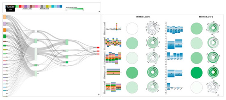 Figure 1. The proposed visual analytics to explain deep neural networks with neuron clustering. (a) A color-coded input feature layer along with feature descriptions. (b) Network level view: Represents a deep neural network to observe feature contribution to the predictions. (c) Feature level view: A detailed view of activation-based clustered neurons with a circular design and feature and neuron weights as a vertically stacked bar chart.