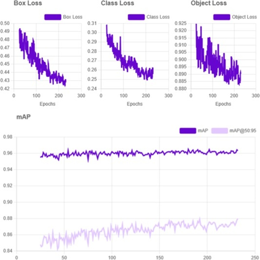 Figure 6. Plots of classification loss of the YOLOv11 model.