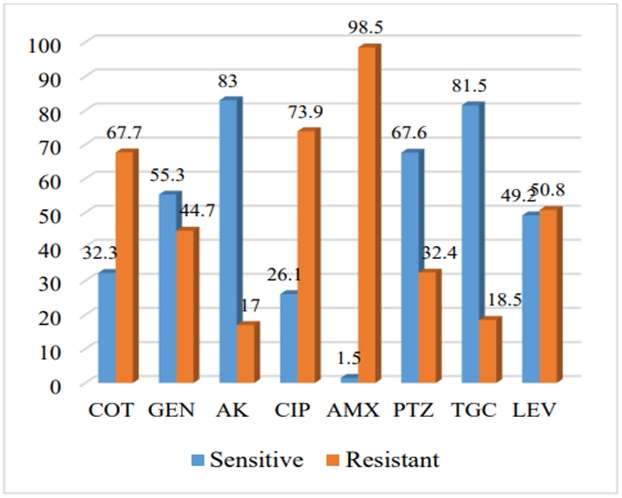 Figure 1. Antibiotic pattern of E.coli.