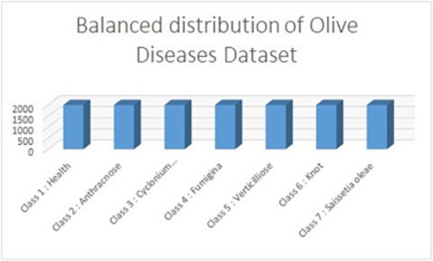 Figure 14. Balanced distribution of the olive disease dataset.