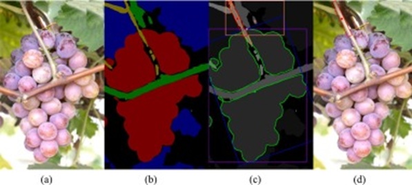 Figure 16. Localization failures in severe misidentification of grape peduncles: (a) Original image, (b) Semantic segmentation result, (c) Picking point localization result, and (d) Visualization of the picking point on the original image.