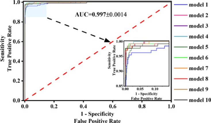 Figure 12. ROC analysis of the SA-CNN and other state-of-the-art YOLO models. Model 1: YOLOv5; model 2: YOLOv6; model 3: YOLOv7; model 4:YOLOv8; model 5:YOLOv9; model 6:YOLOv10; model 7:SA-CNN+CC loss function; model 8: CNN+Focal loss function; model 9: SA-CNN + Focal Loss+①; model 10:SA-CNN + Focal Loss+②.