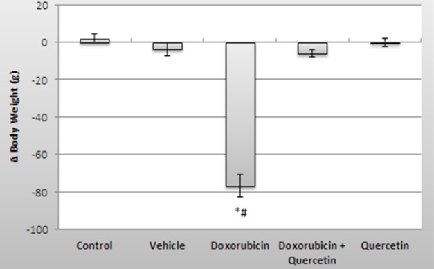 Figure 1. Changes in body weight across the different experimental groups are presented as mean ± SD. A significant reduction in body weight was observed in the doxorubicin group (P < 0.05*) compared to the control group. However, in the doxorubicin + quercetin group, the weight loss was significantly less (P < 0.05#) compared to the doxorubicin-only group, suggesting the protective role of quercetin.