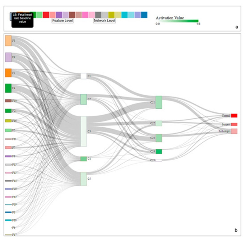 Figure 5. A compact view of neural networks with clustered mega neurons. (a) represents the legend of input layer along with feature definitions and a color legend for activations. (b) Sankey diagram represents network level visualization.