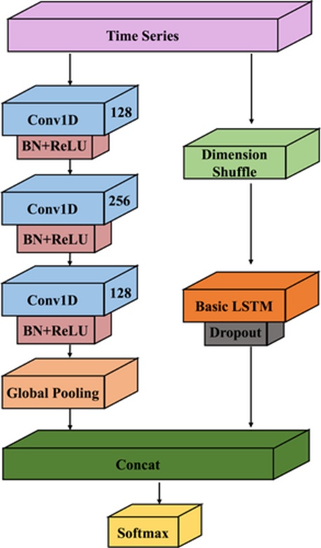 Figure 7. The diagram of the LSTM-FCN structure.