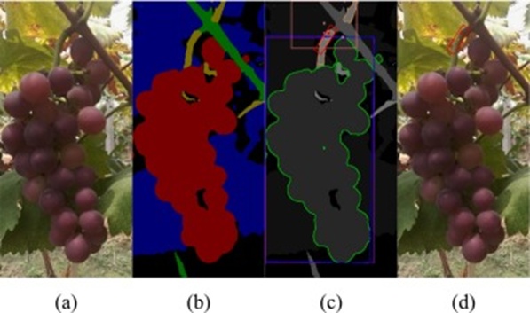 Figure 11. Semantic reasoning and picking point localization results in General Scenarios: (a) Original image, (b) Semantic segmentation result, (c) Picking point localization result, and (d) Visualization of the picking point on the original image.
