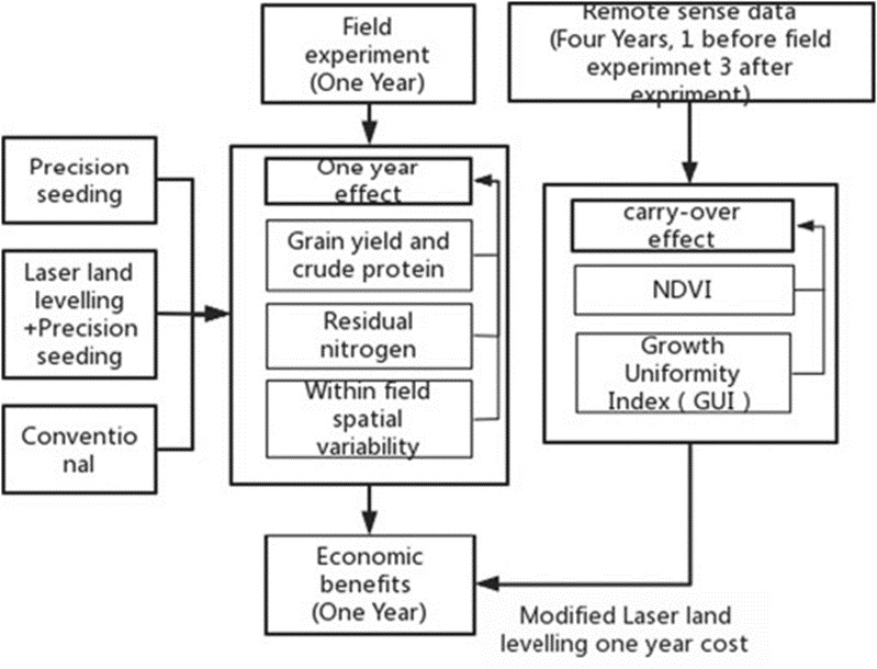 Figure 1. Flow diagram of this study.