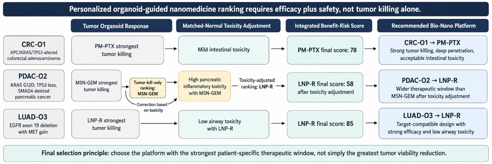 Figure 2. Personalized Benefit-Risk Ranking of Bio-Nano Platforms Using Tumor and Matched-Normal Organoids