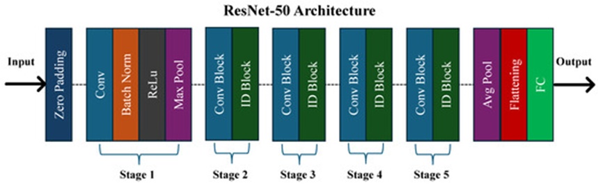 Figure 6. The architecture of the ResNet-50 model.