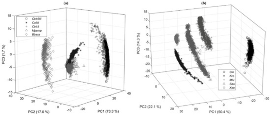 Figure 3. > Three-dimensional scatter plots mapping the initial three principal coordinates derived from the preprocessed Raman data matrix for the fungal conidia isolates (a) and the carotenoid-pigmented bacterial strains (b).