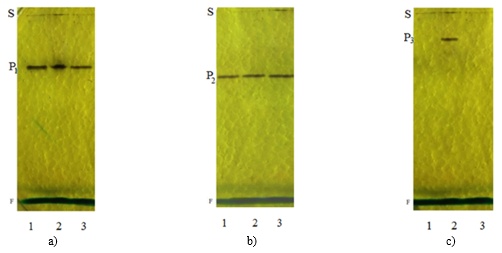 Figure 2. Distribution of malate dehydrogenase isoenzymes in liver fractions: cytoplasmic (a), mitochondrial (b), and peroxisomal (c) from control rats (1), rats with alloxan-induced diabetes (2), and diabetic rats treated with inulin (3). S represents the starting point, P1, P2, and P3 denote different isoforms of malate dehydrogenase, and F indicates the position of the bromophenol blue dye marker front.
