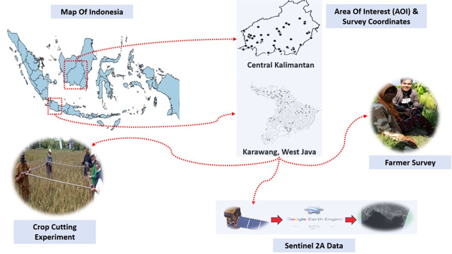Figure 1. Distribution of survey plots and data used in Central Kalimantan and Karawang.