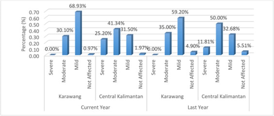 Figure 9. Pest attack severity in Central Kalimantan and Karawang.
