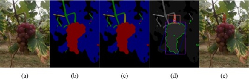 Figure 12. Semantic reasoning and picking point localization results in General Scenarios: (a) Original image, (b) Semantic segmentation result, (c) Semantic Reasoning Result, (d) Picking point localization result, and (e) Visualization of the picking point on the original image.