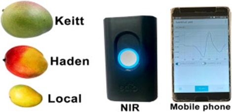 Figure 1. General setup for scanning and the three mango varieties.