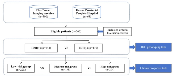 Figure 1. Flowchart of patient enrollment and study objectives.