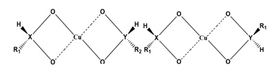 Figure 6. Schematic structures of the ligand complex of the racemate and metal ion