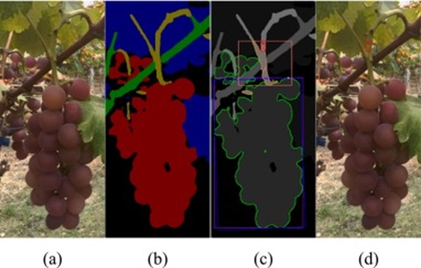 Figure 9. Semantic reasoning and picking point localization results in General Scenarios: (a) Original image, (b) Semantic segmentation result, (c) Picking point localization result, and (d) Visualization of the picking point on the original image.