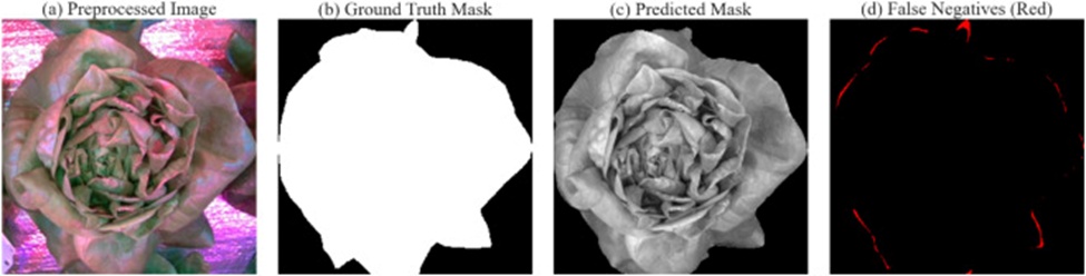 Figure 6. Side-by-side view of (a) pre-processed image, (b) ground truth mask, (c) predicted mask, and (d) false negative zones of the prediction (Red), employing U-Net++ for segmentation.