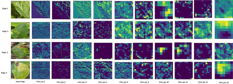 Figure 18. Layer visualization of LeafspotNet classifier.