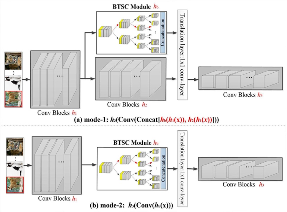 Figure 3.  Two typical usages (mode-1 (a) and mode-2 (b)) in a normal DCNN model.