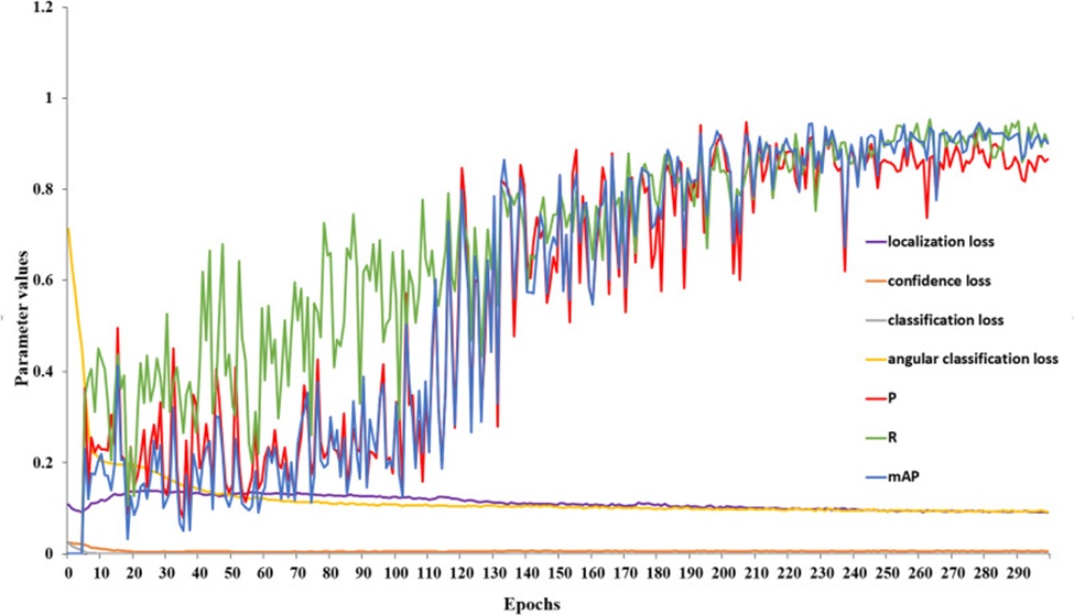 Figure 7. Training curves of R-YOLOv5.