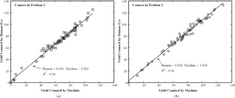 Figure 7. Linear least-squares analysis result of the yield counted by the machine vs. the yield counted by the human eye for all input images where the camera was installed in (a) position 1 and (b) position 2.