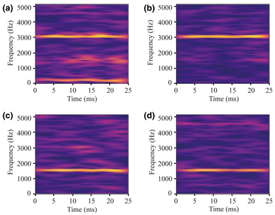 Figure 10.  Spectrogram images for different cavitation conditions at a SNR of 4 dB: (a) severe; (b) medium; (c) mild; (d) healthy
