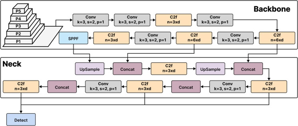 Figure 2. YOLOv8 architecture (Taken from: 8).