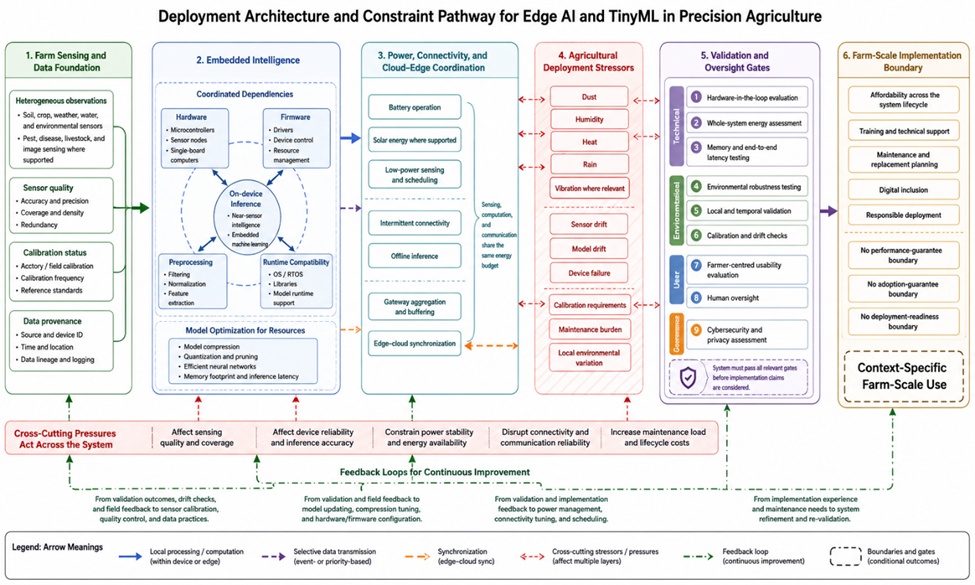 Figure 1. Deployment Architecture and Constraint Pathway for Edge AI and TinyML in Precision Agriculture