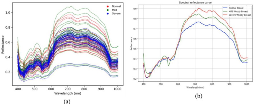 Figure 7. (a) The raw spectral reflectance graph of chicken samples, and (b) the average spectral reflectance graph in each WB group.